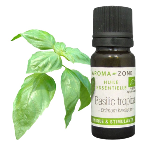 Ätherisches Bio-Basilikumöl (10 ml)
