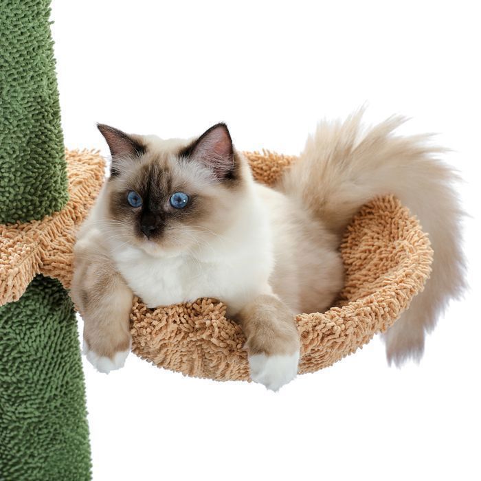 PAWZ Road Arbre à Chat au Plafond Cactus, Hauteur ajustable, Poteau griffoir sisal, hamac suspendu, 229-275cm