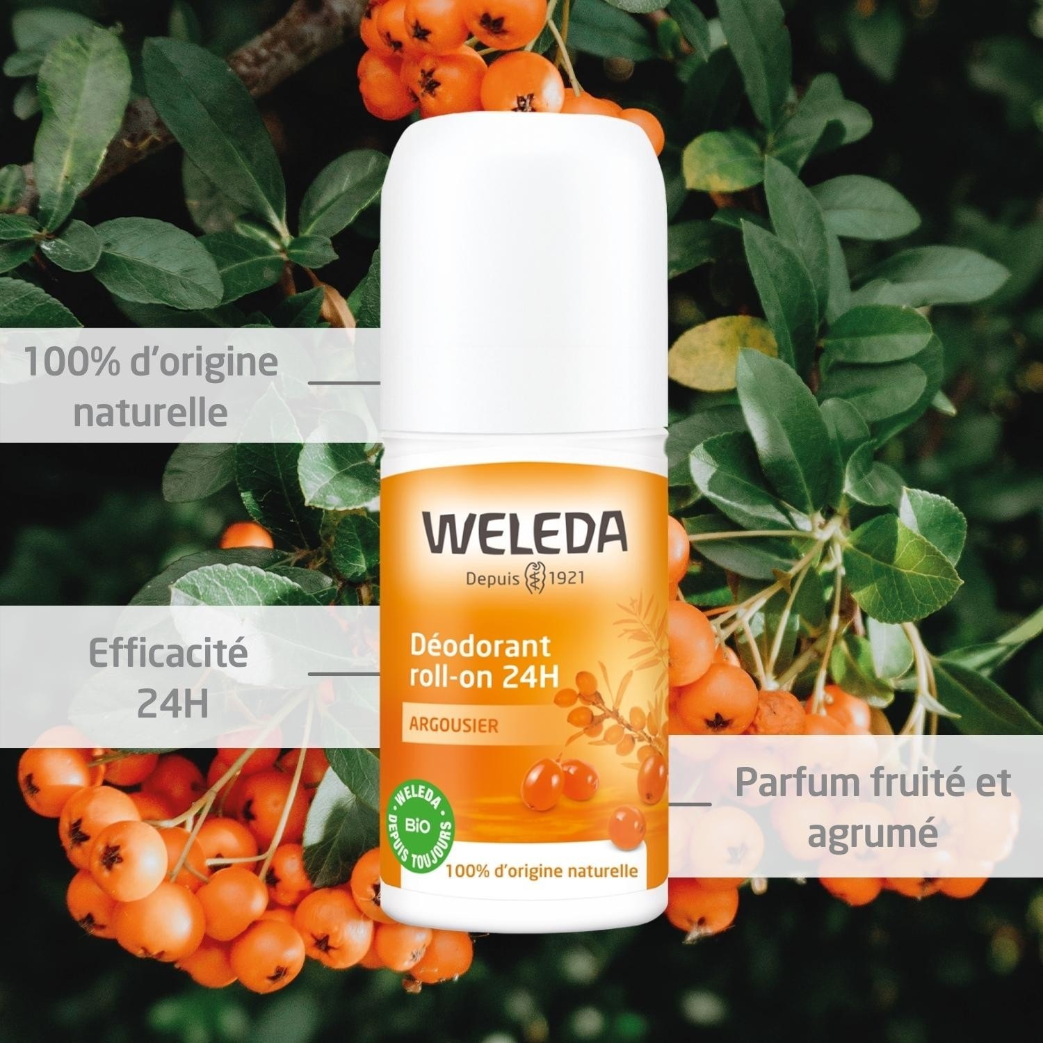 Weleda Déodorant roll-on 24H Argousier - 50 ml