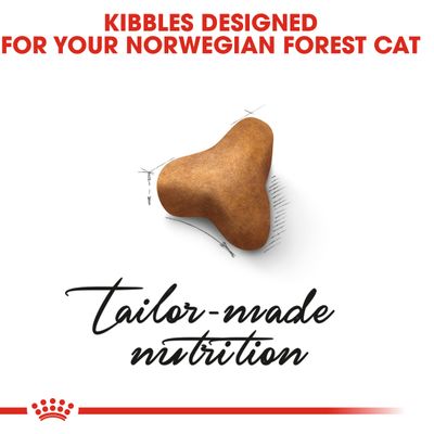 Royal Canin Norwegische Waldkatze (Erwachsen)