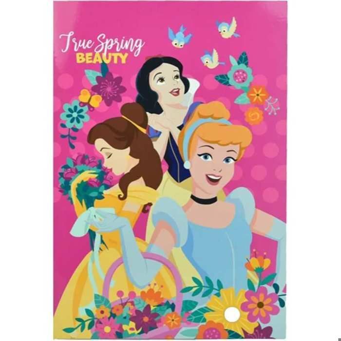 petit cahier Princesses Disney