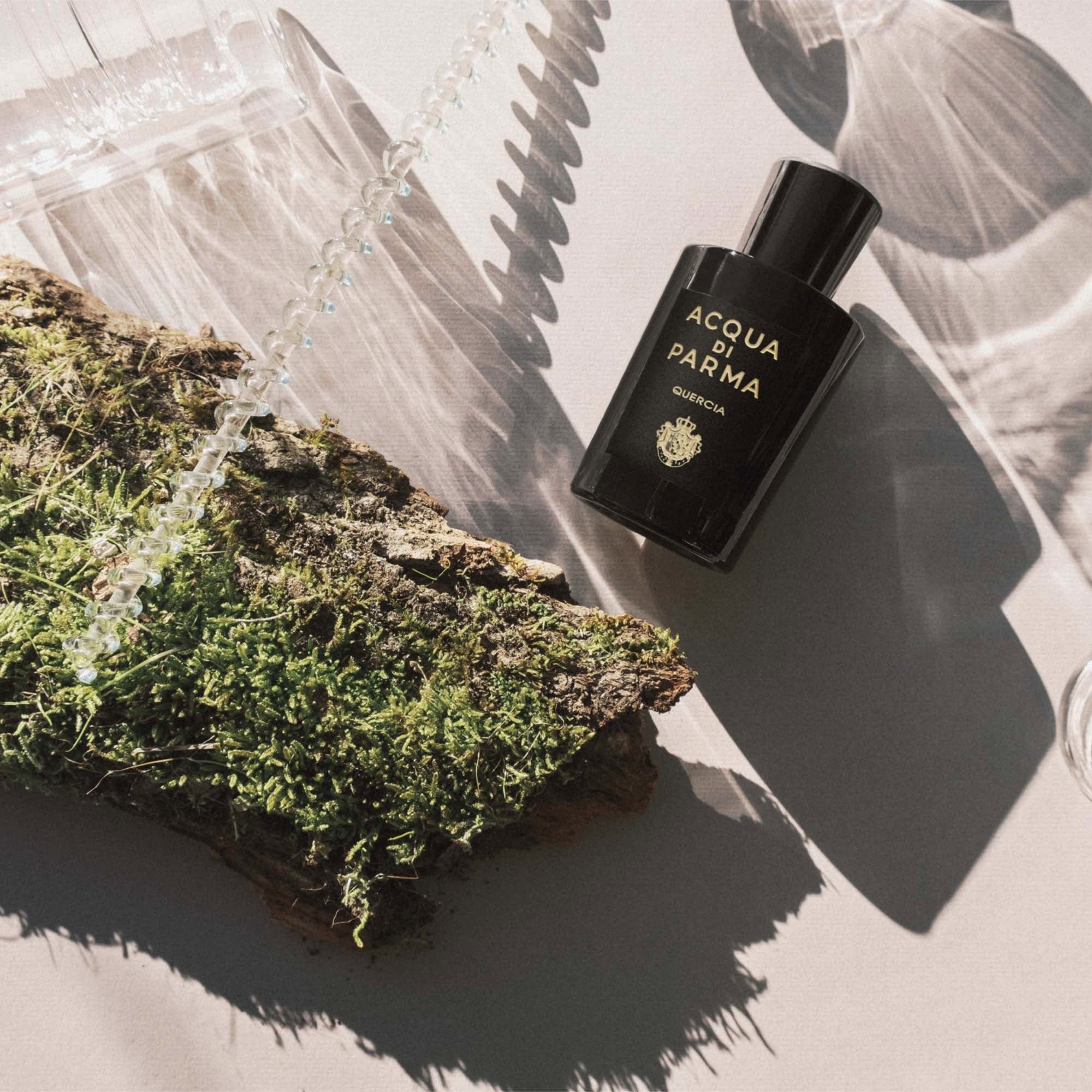 Signatures of the Sun Quercia - Eau de Parfum Unisex, Eau de Parfum