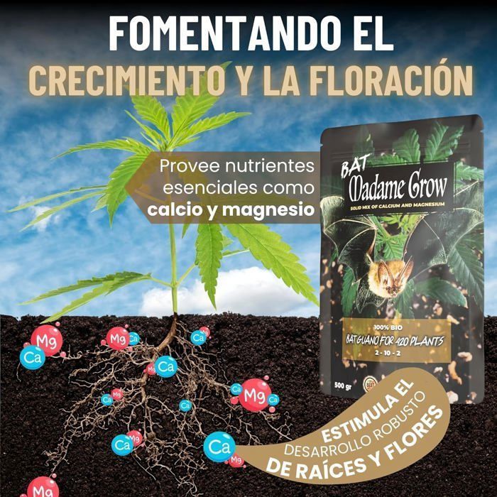 MADAME GROW - Engrais Organique en Poudre - Guano de Chauve-souris - Engrais Naturel Plantes - Riche en Calcium & Magnésium - 500 g