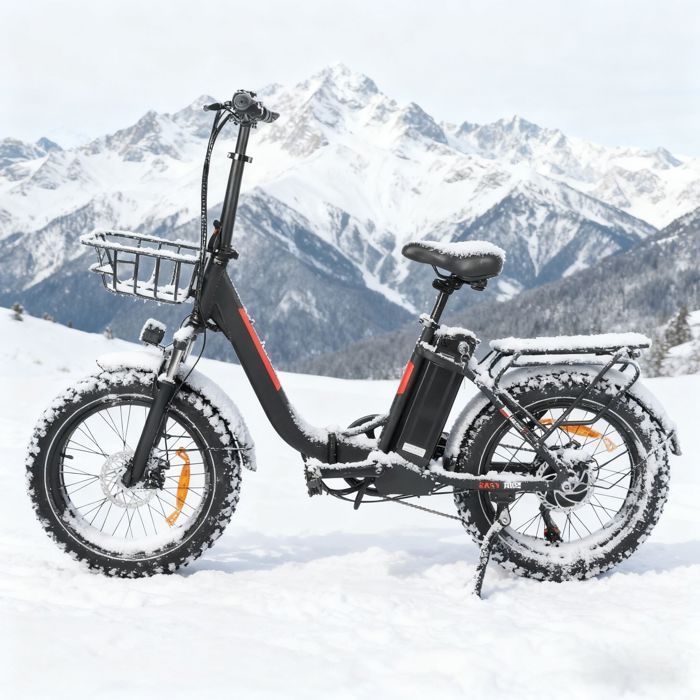Bicicleta eléctrica plegable DZ2030 - Motor de 1000 W - Batería de 16 Ah - Autonomía de 100 km - con neumáticos de 20