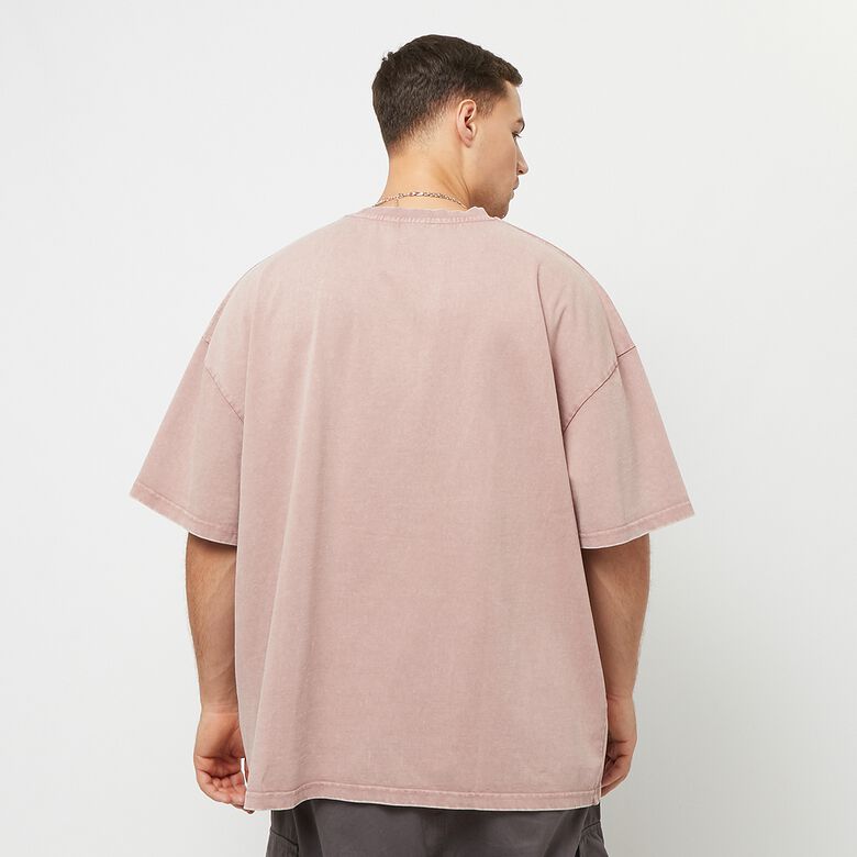Camiseta pequena Signature Heavy Jersey Washed Boxy