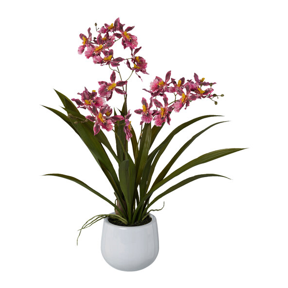 Artificial Cambria orchid in a ceramic pot, 50 cm