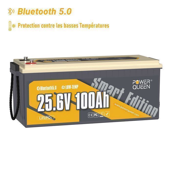 PowerQueen 24V 100Ah LiFePO4 Lithium Battery with Bluetooth for Vehicles, Camping, Caravans, Travel, Marine, and Solar Systems