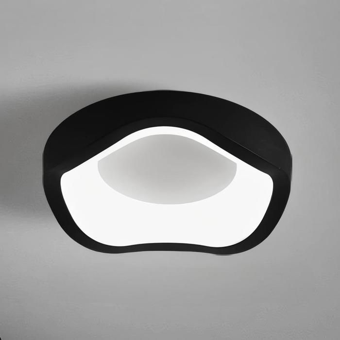 Fusion Plafonnier LED Style Moderne - 12W Blanc froide IP54 Imperméable Luminaire Plafonnier Pour Salle de Bain - 1pcs Noir Ø20CM