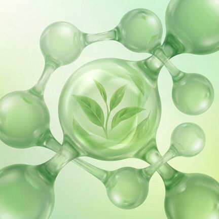 Ρόφημα για το Δέρμα Nacomi Matcha – Fresh Balance Essence