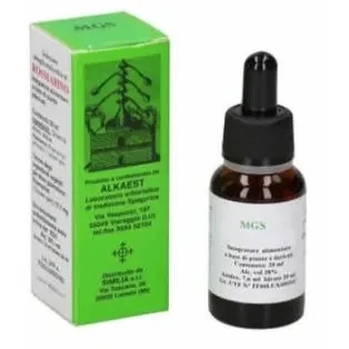 Mgs8 Magnesium Jeneverbes 20 ml