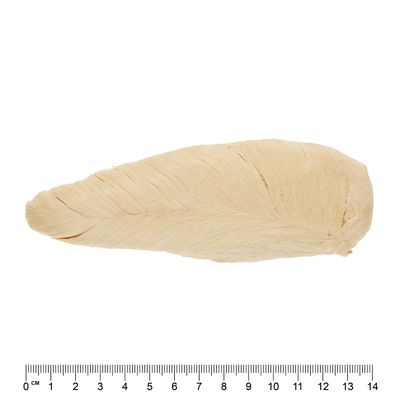 Wolf of Wilderness RAW Gefriergetrocknete Snacks