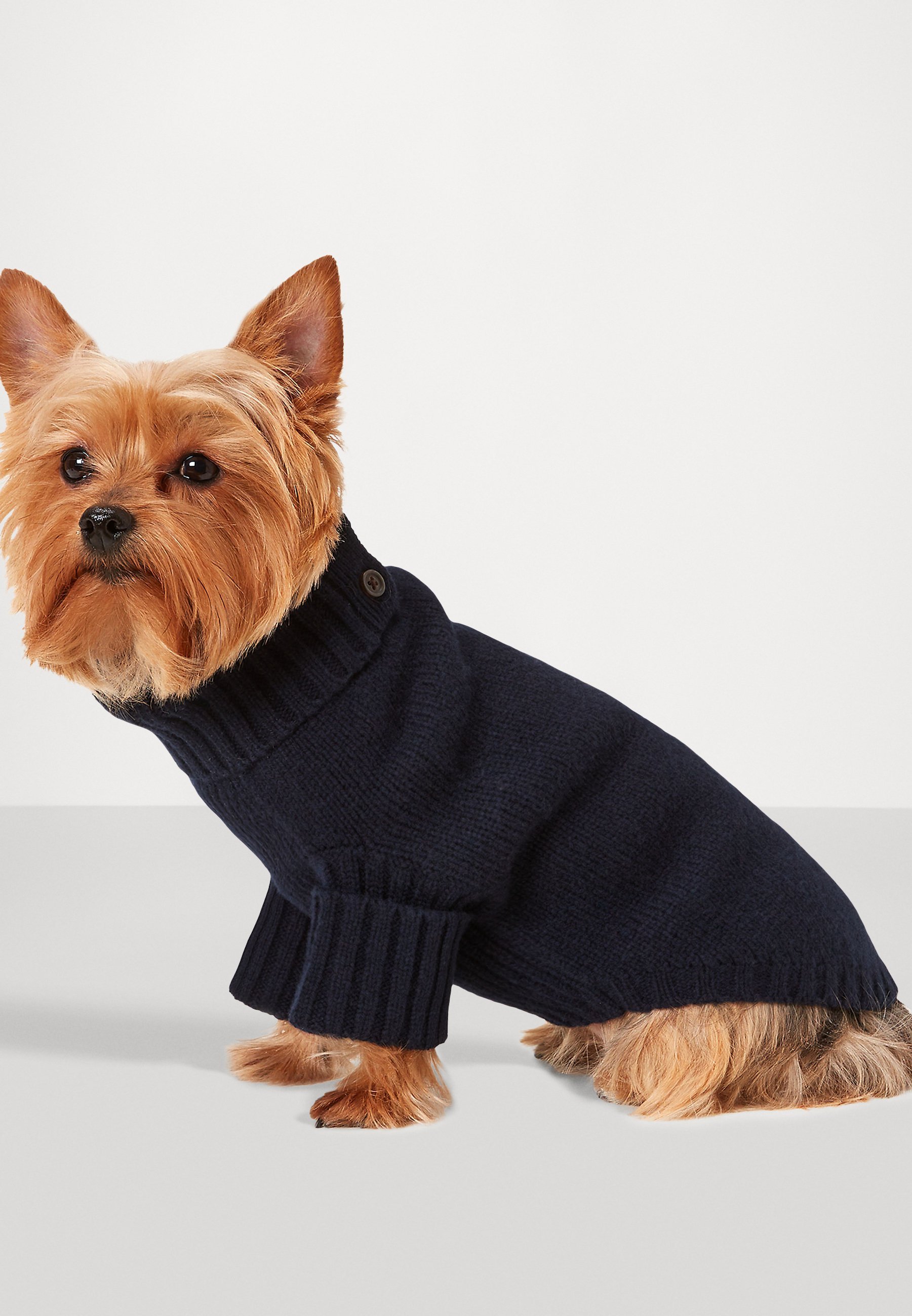 Polo Ralph Lauren Pet