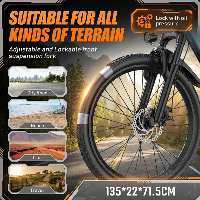 Vélo Électrique 26