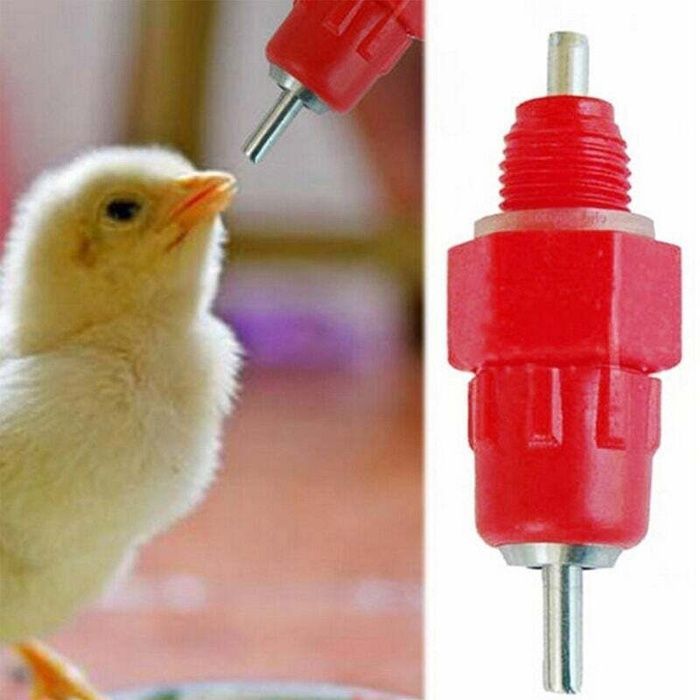 Bebederos de rosca para aves de corral, 6 unidades, color rojo, plástico y acero inoxidable, 5,2 × 1,5 cm