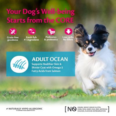 Hrană uscată Wellness Core pentru câini adulți de talie mică, Ocean