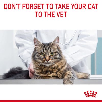 Royal Canin Haarbalverzorging in Jus
