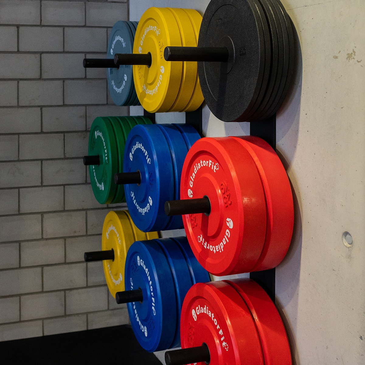 Soporte De Pared De Acero Para Discos De Ø 51 Mm Gladiatorfit