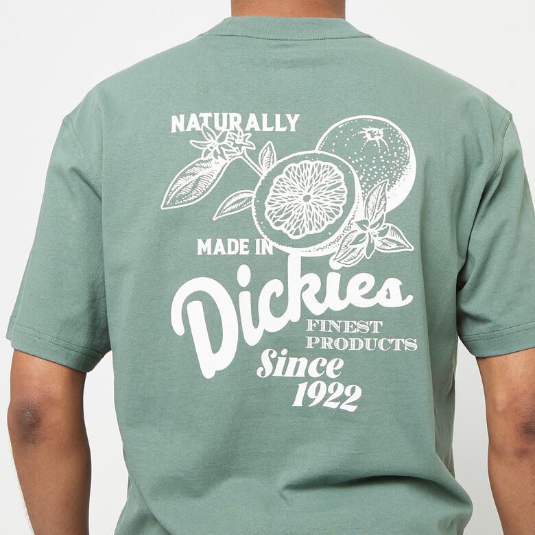 Raven Tee Shortsleeve