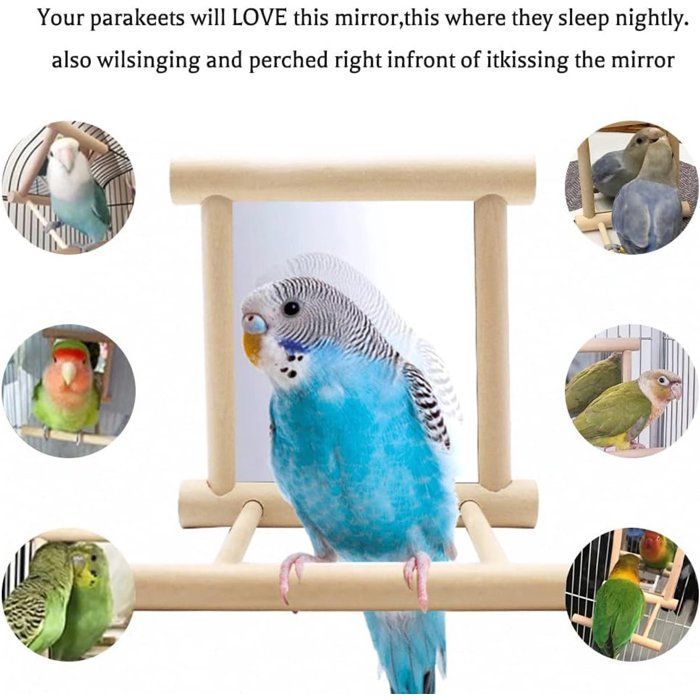 Vogelzitstok met spiegel, houten speelgoed voor parkieten met spiegel, zitstok voor papegaaien, duiven, kanaries, 10 x 10 x 10 cm