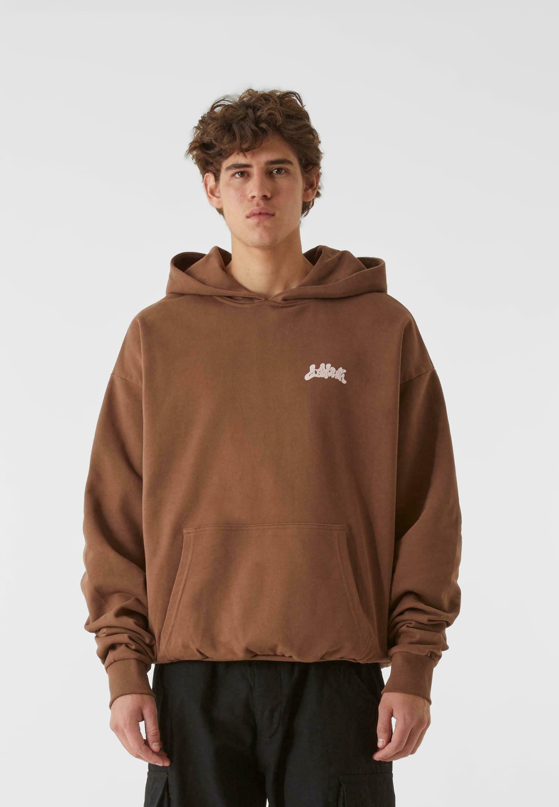Lost Youth HORIZON - Sweat à capuche - écorce
