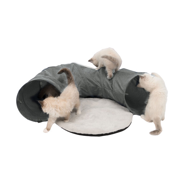 Vesper alagút, szürke