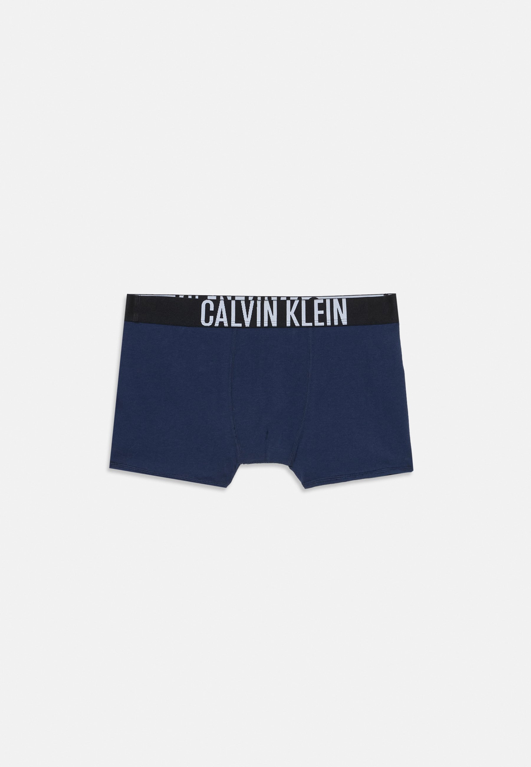 Calvin Klein aluspesu 2 pakki - Püksid - hall/must iiris