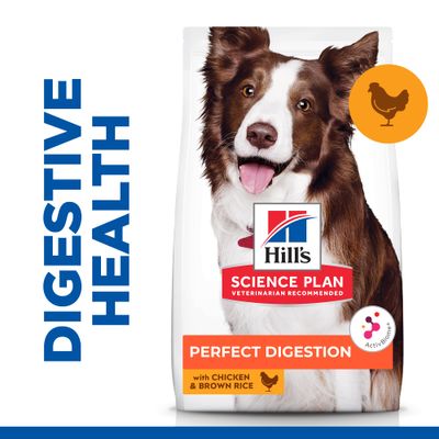 Hill's Science Plan Adult 1+ Digestione perfetta Razza media con pollo