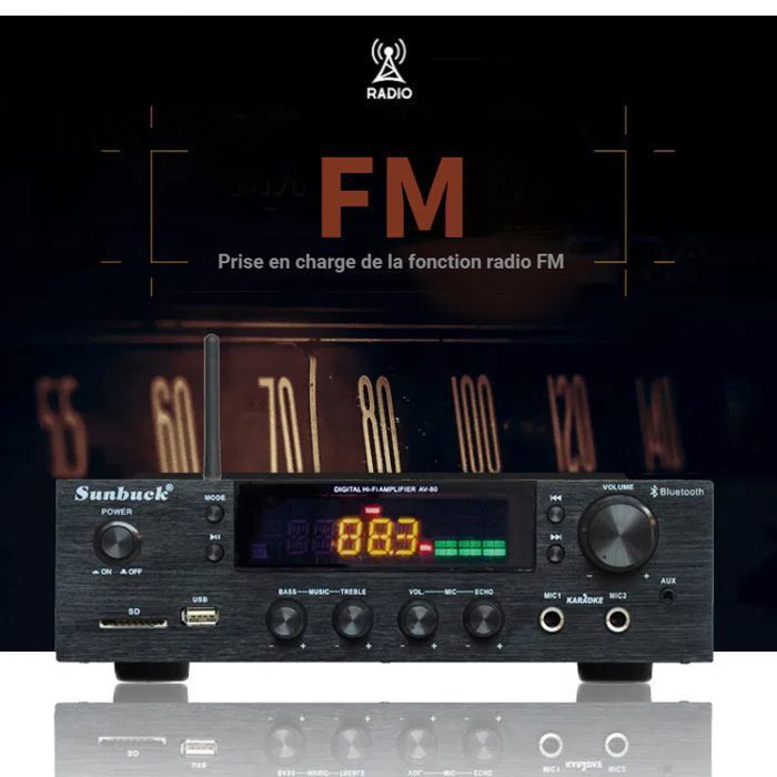 600W 220V Bluetooth HiFi Amplifier, Bluetooth Stereo Audio Power Amplifier with USB, SD Card Slot, and FM Radio - Black