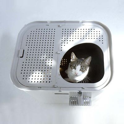 Modkat XL kattesand