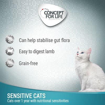 Concept for Life Sensitive Katzen Lamm getreidefrei in Gelee