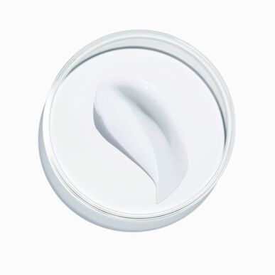Redken Frizz Dismiss Mask Närande mask för ostyrigt hår 250 ml