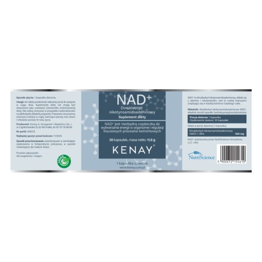 Kenay Nad+ Nicotinamidadenindinukleotid