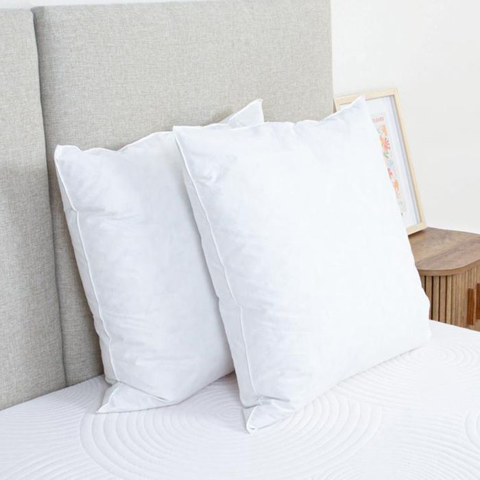 Set of 2 Natura pillows 60x60 cm Down & Feathers
