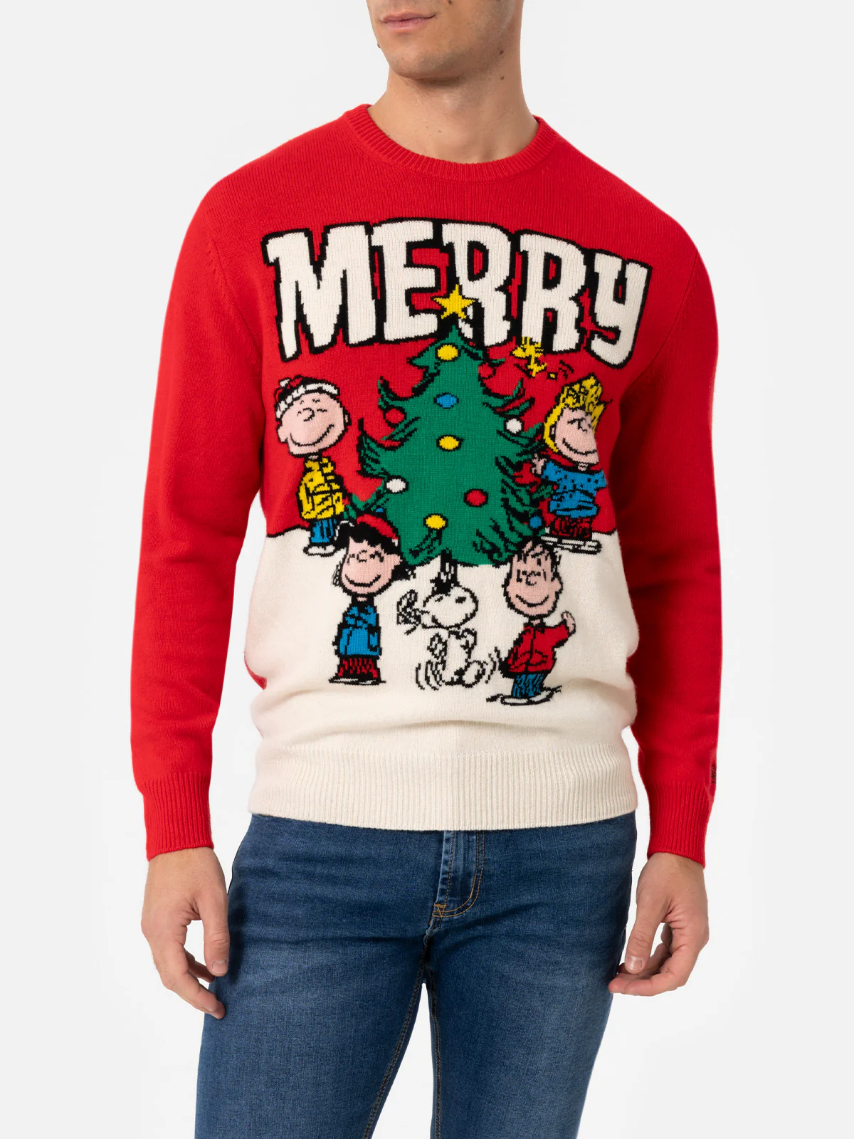 Heron Heren Trui Rood Jacquard Peanuts Merry Print | SNOOP
