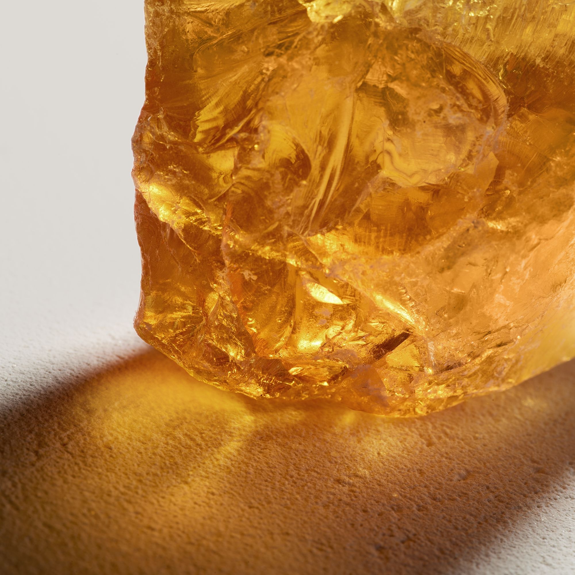 Signature Eau de Parfum Ženski parfumi