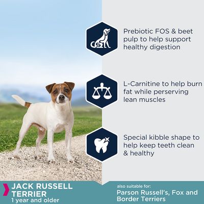 Eukanuba Jack Russell teriér dospělý