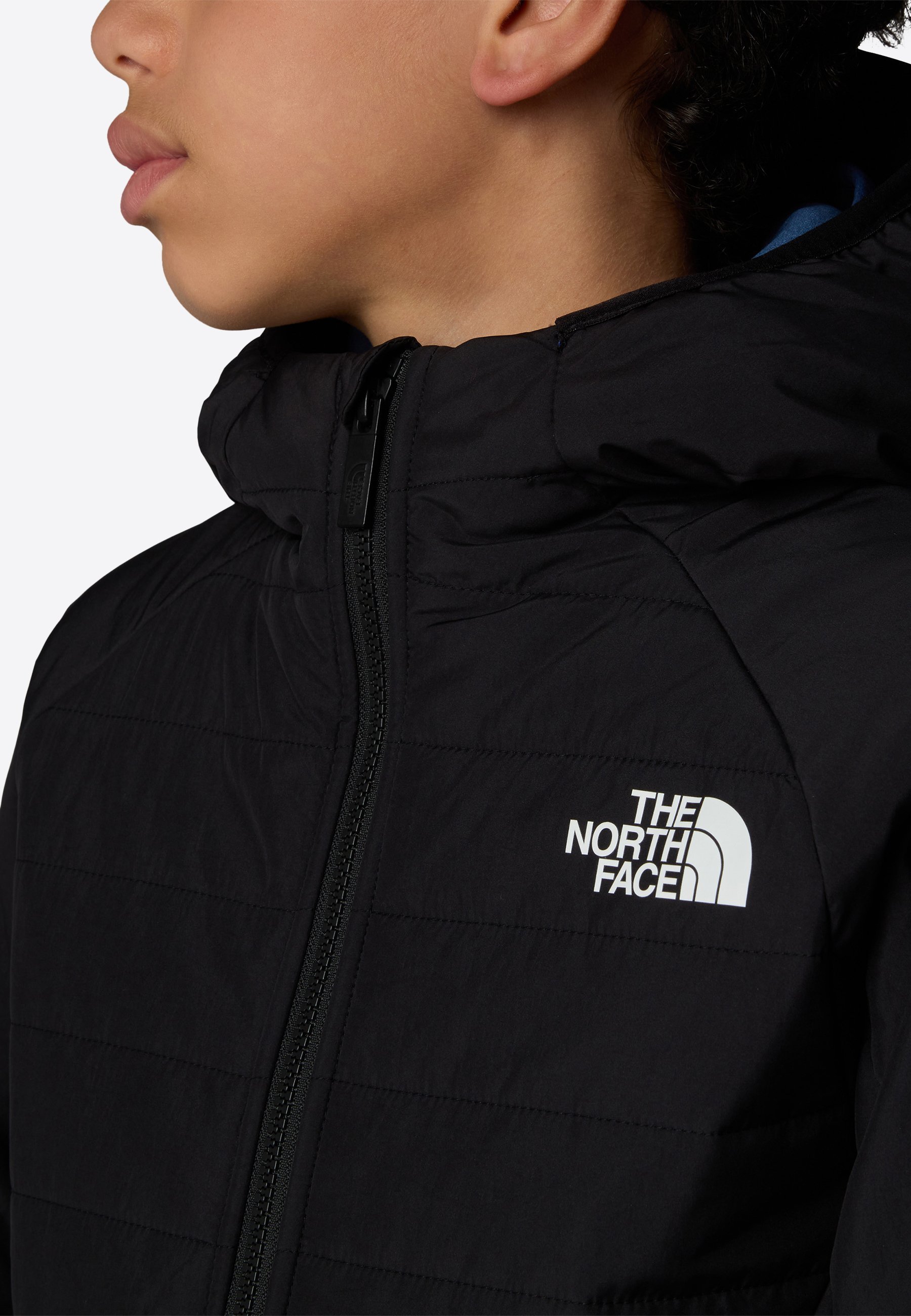 The North Face NEVER STOP UNISEX - Winterjacke - schwarz