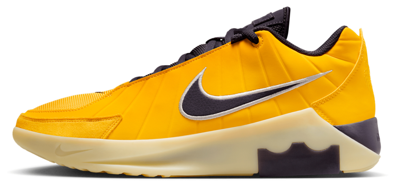 Nike Lebron Witness 9