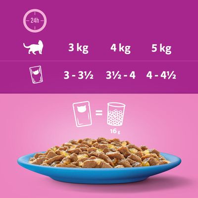 Whiskas 7+ Senior -pussit hyytelössä