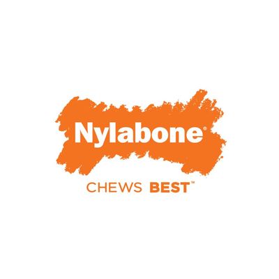 Nylabone DuraChew Flavour Frenzy - Beef Jerky