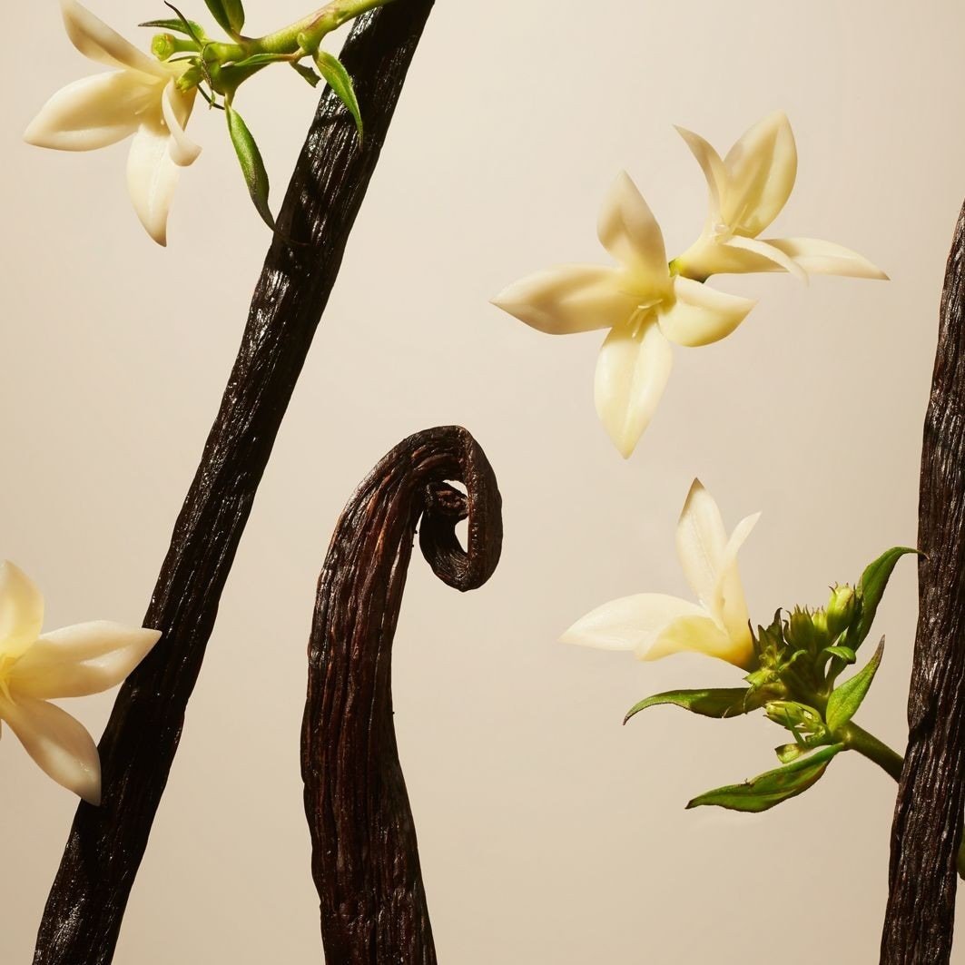Dišavne palčke za prostor Rituals Private Collection Suede Vanilla - 100 ml