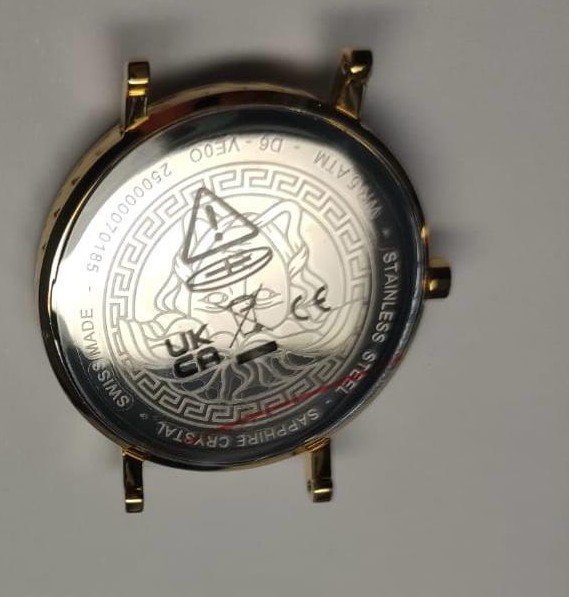 Versace VERSACE DELPHINUS - Orologio - bicolore