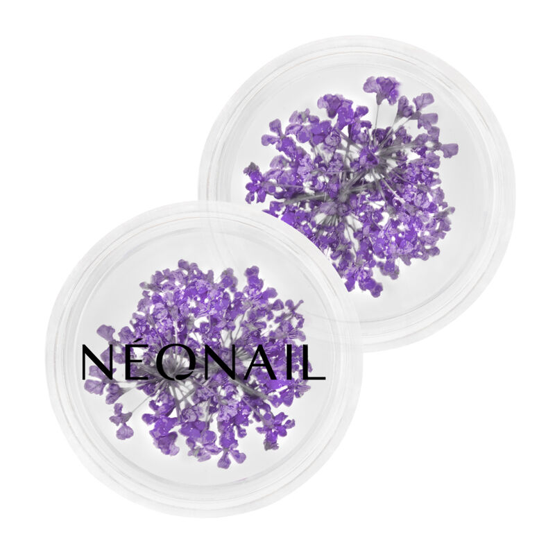 Neonail