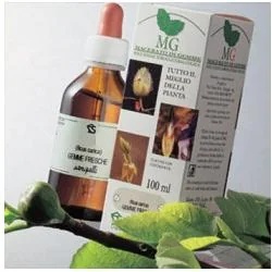 Birke 100 ml Mg