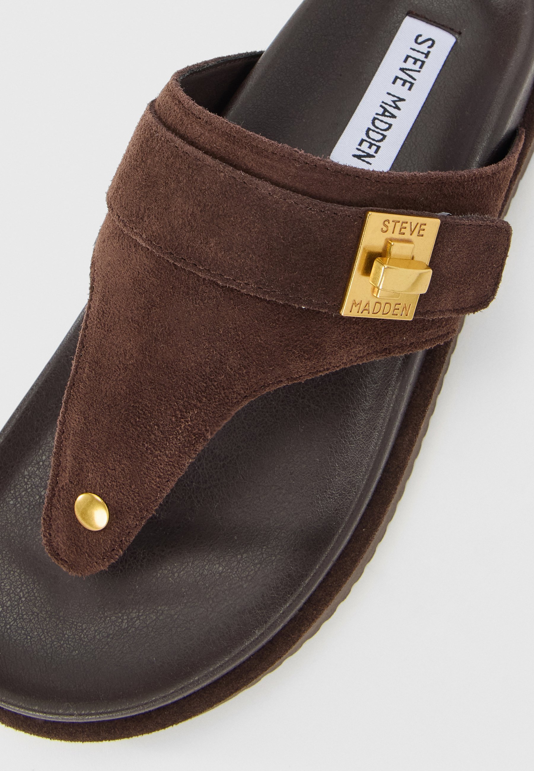 Steve Madden TUNED IN - Tøfler - sjokoladebrun