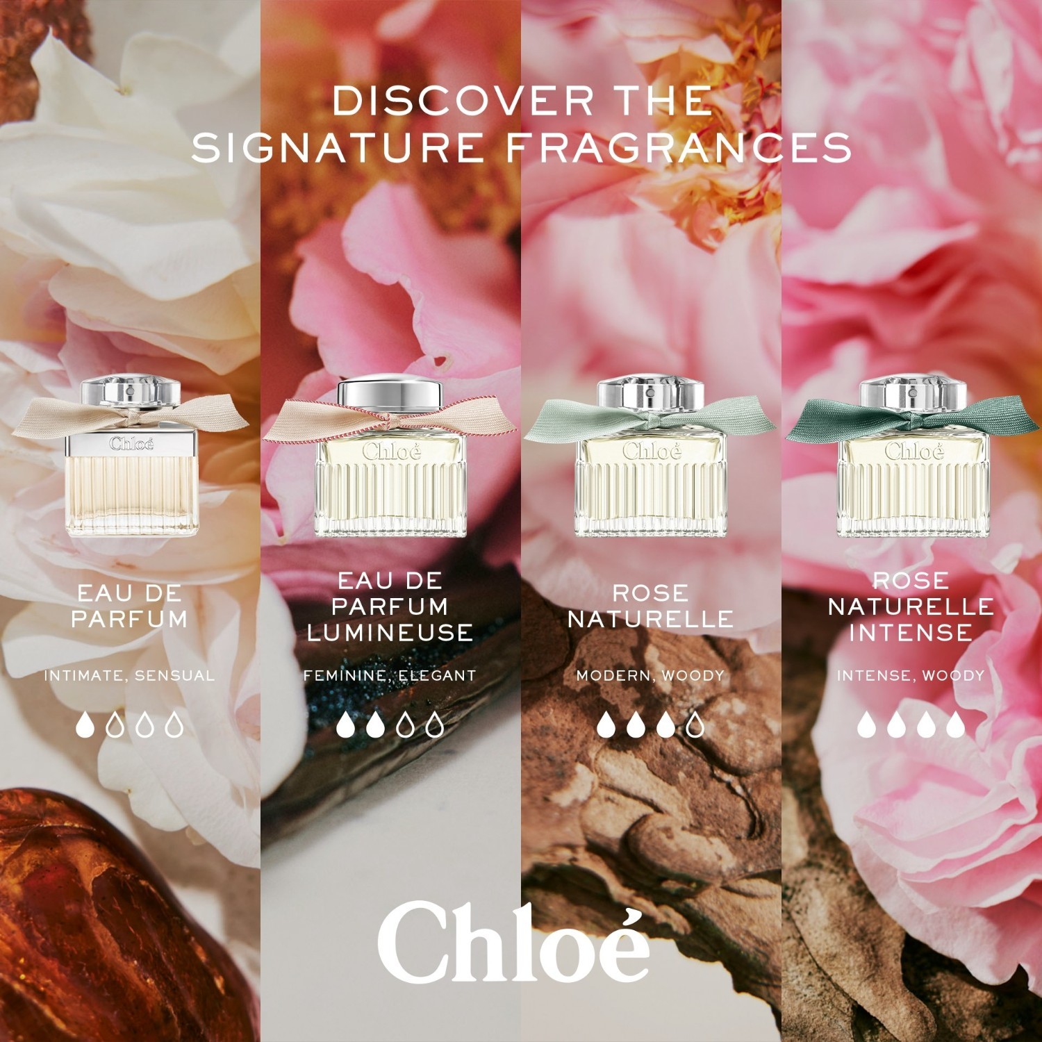 Chloé parfemska voda Chloé Rose Naturelle Intense - 30 ml