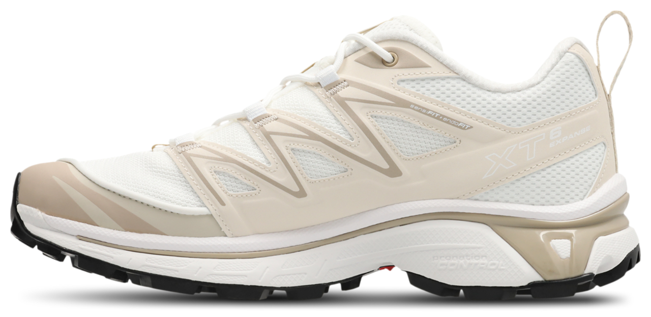 Salomon XT-6