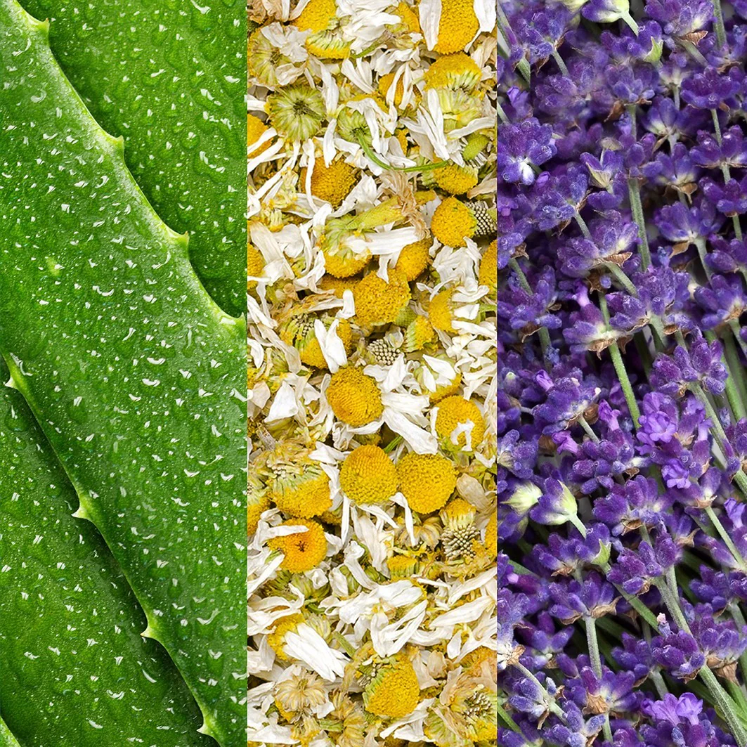 Mario Badescu Spray visage à l'aloe vera, camomille et lavande