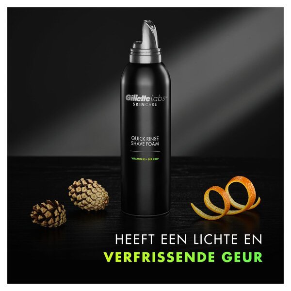 Pena za britje GilletteLabs 240 ml