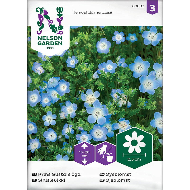 Nelson trädgårdsfrön Öga Blomma Blå